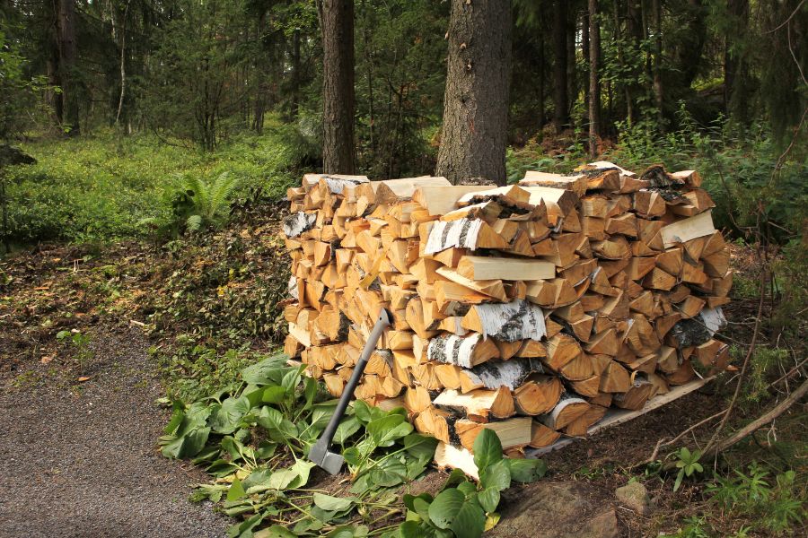 Firewood stacked for seasoning