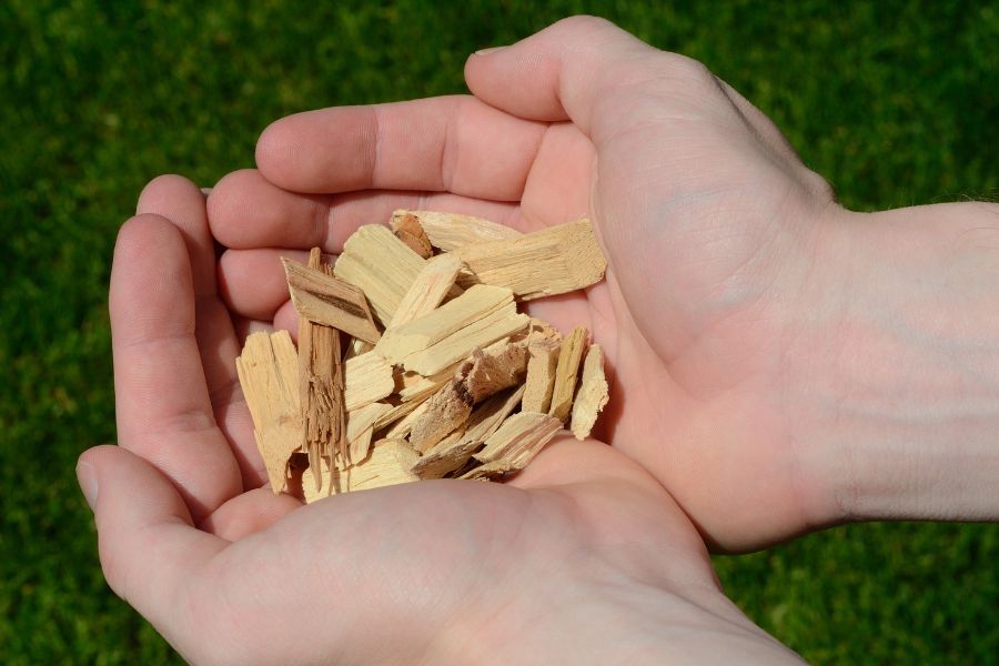 A pinch of wood chips in hand