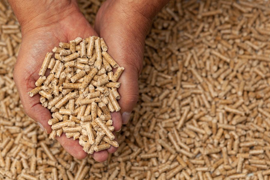 Wood pellets in hand and background