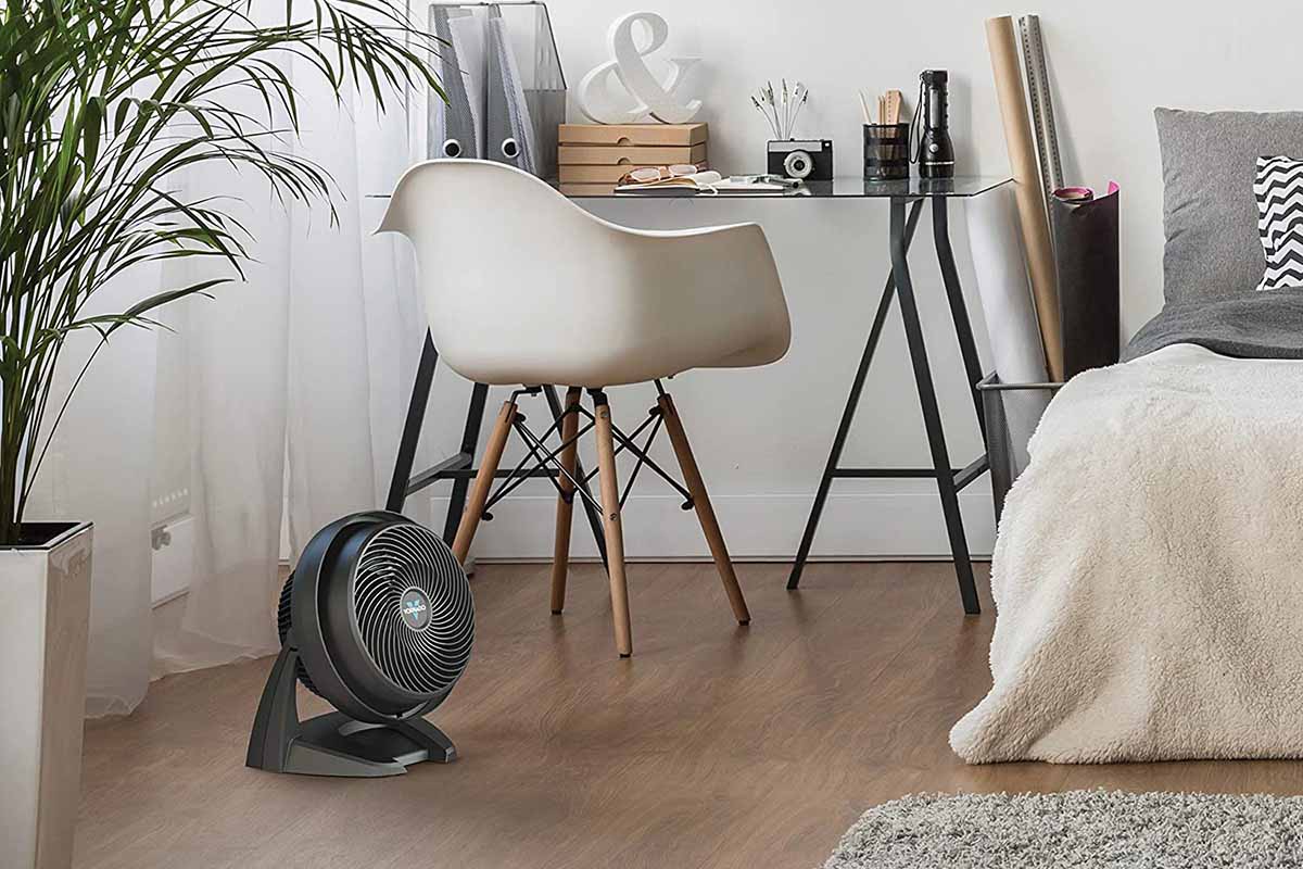 Air Circulator vs Fan: Making the Best Choice for Your Home