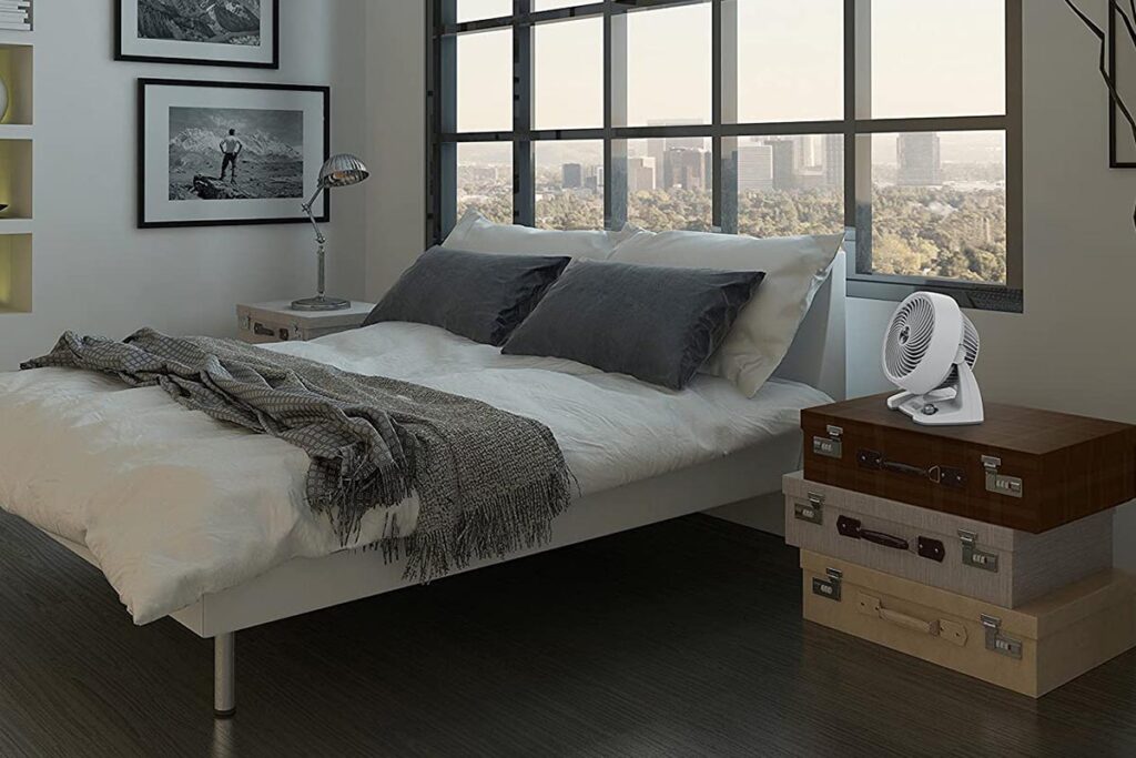 Air Circulator vs Fan Which one is better? MyFire.Place