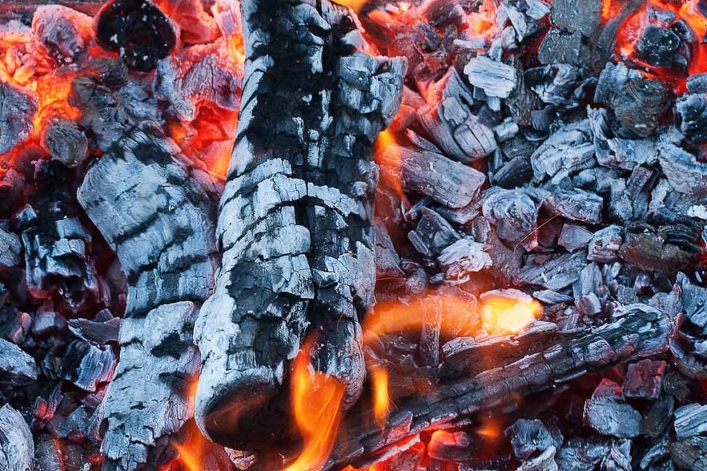 Wood Species and How They Burn