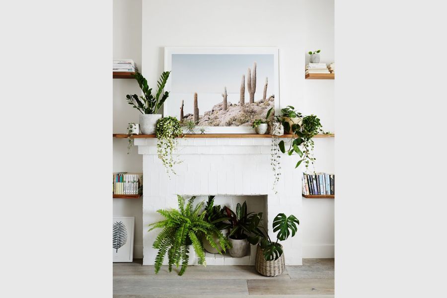 Incorporating Plants and Greenery in an Empty Fireplace