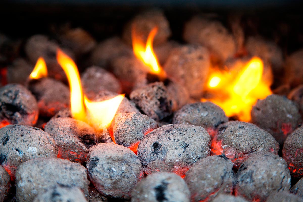 Can You Burn Charcoal In A Fireplace And Wood Stove