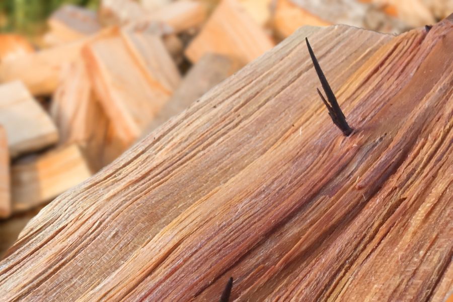 Close-up Honey Locust Firewood